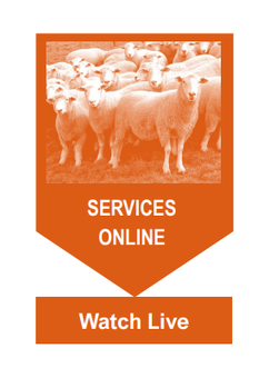 A picture of a herd of sheep with the words services online below it