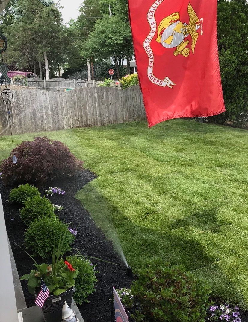 A red flag with a snake on it is flying in a yard.