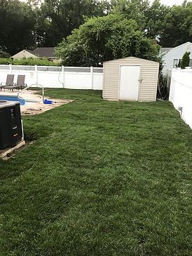 A backyard with a shed and a pool.