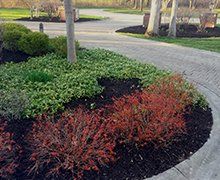 Mulch