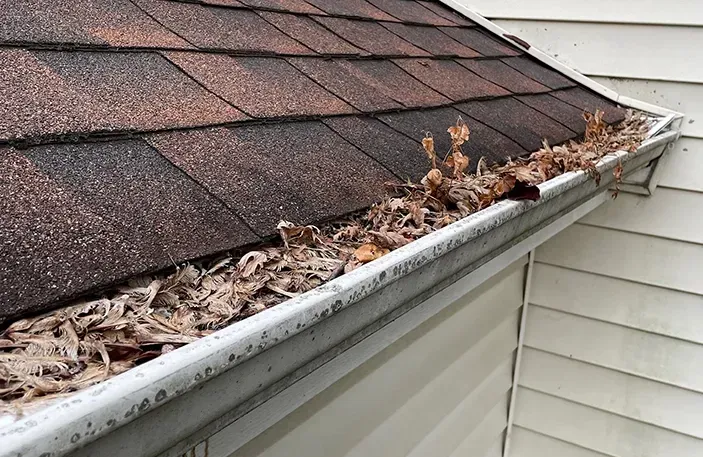 Gutter filled with dried leaves - before