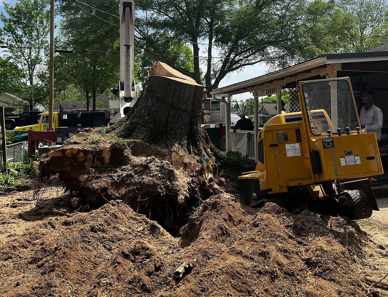 A large tree stump and root system sit in a yard near a yellow stump grinder and a small covered porch.