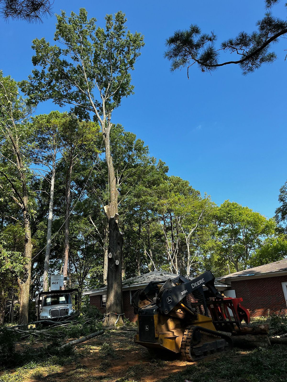 A worker in an aerial lift trims a tall tree near a brick house, while a yellow skid steer operates on the ground below.