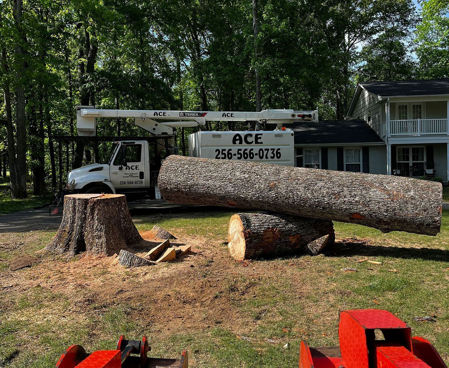 A large cut log rests on another log near a tree stump, with an Ace tree service truck parked in the background.