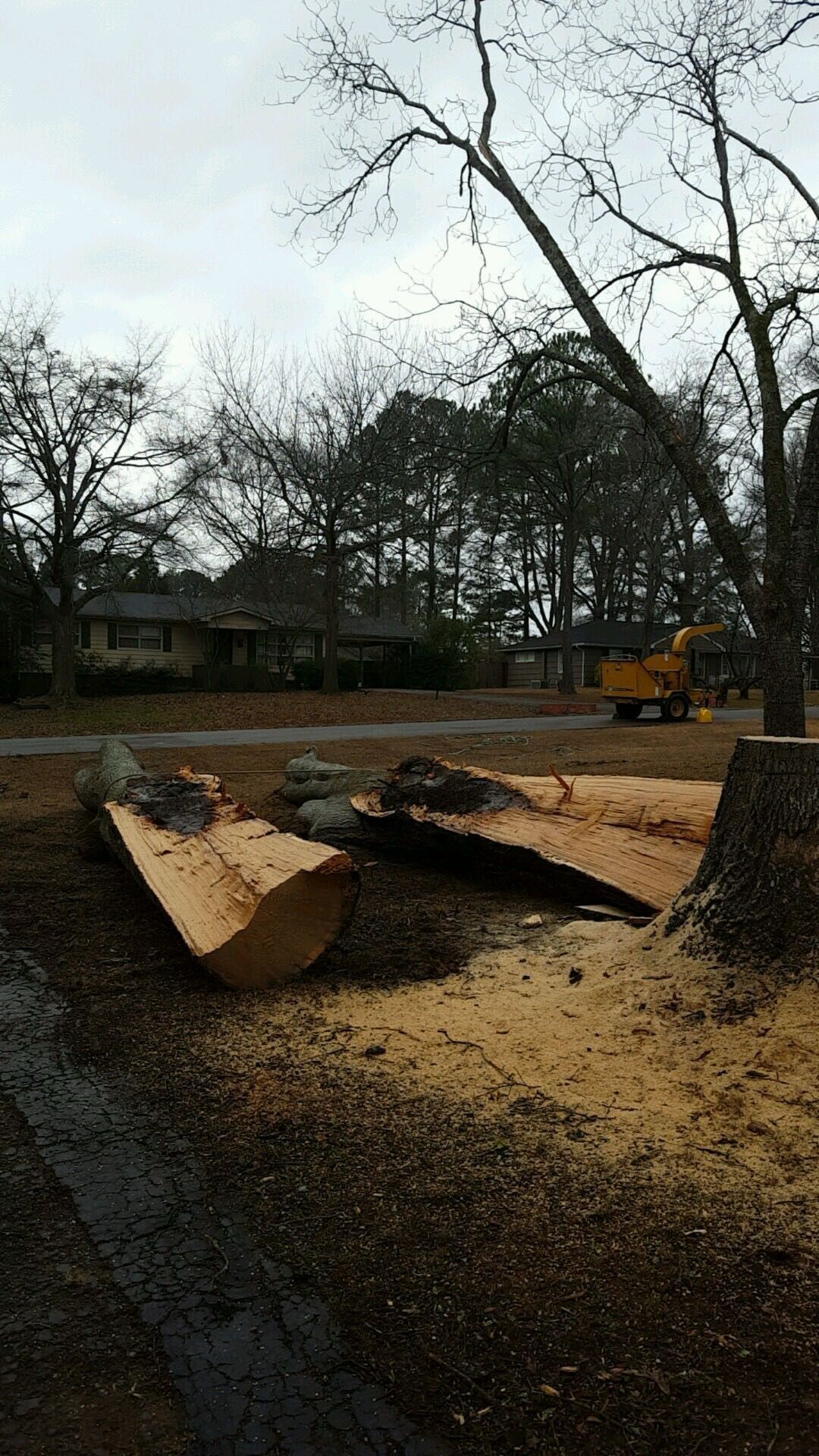 Large tree trunks lie on the ground next to a stump in a residential yard, with a yellow utility vehicle in the background.