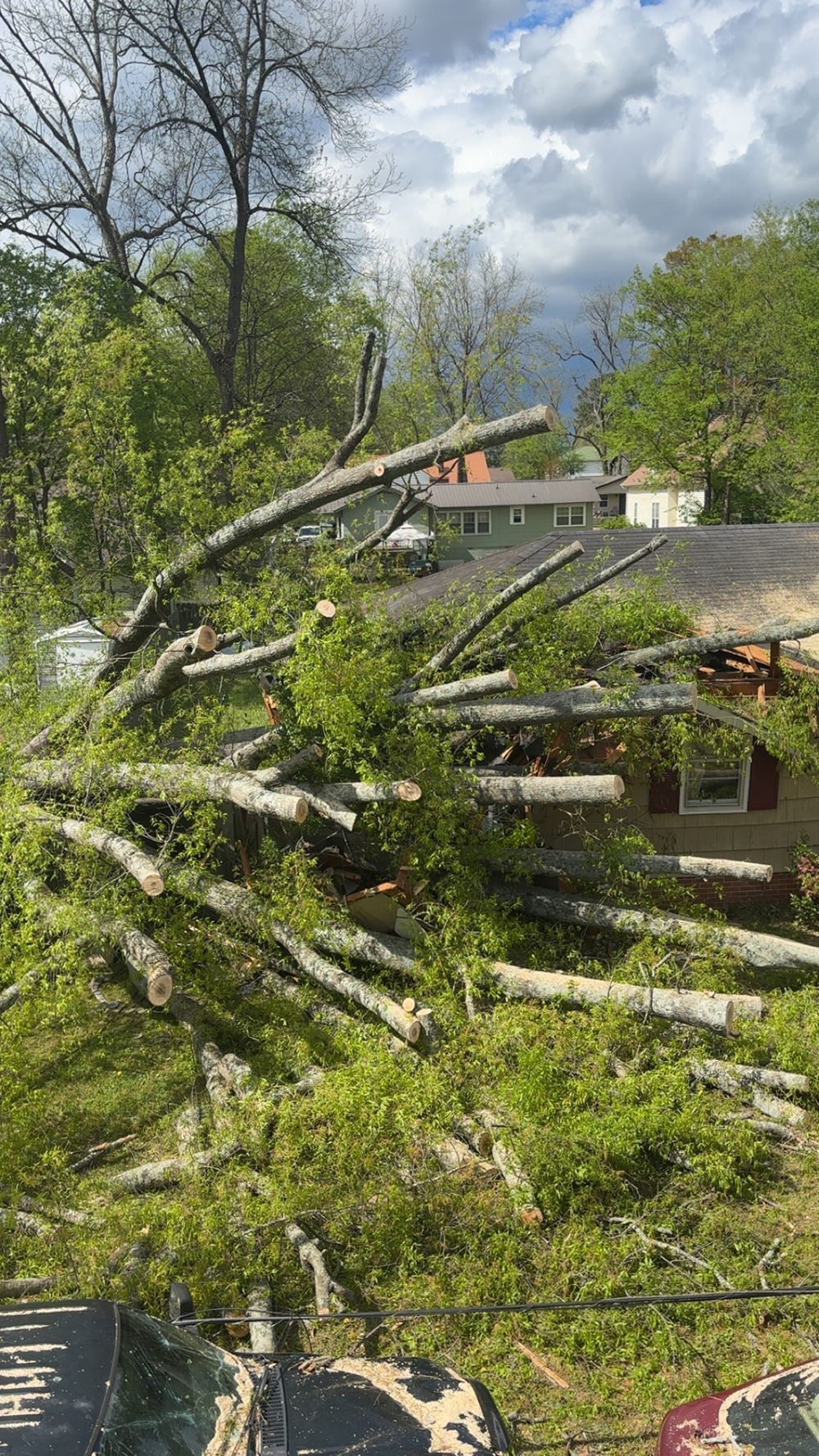 A large, downed tree lies across the roof of a house, surrounded by scattered branches and a vehicle in the foreground.