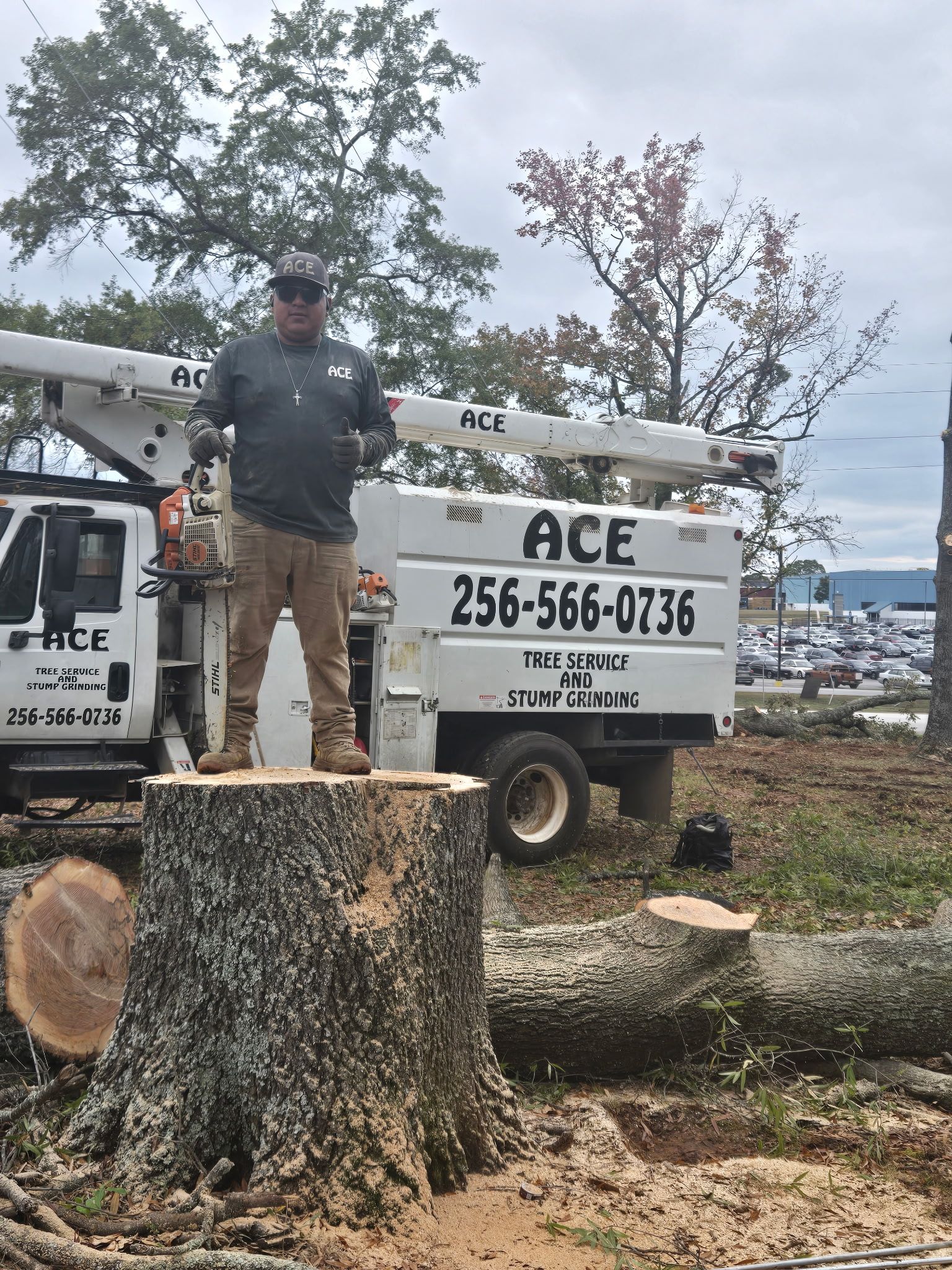 A worker standing on a large tree stump in front of an Ace tree service truck with a boom lift.