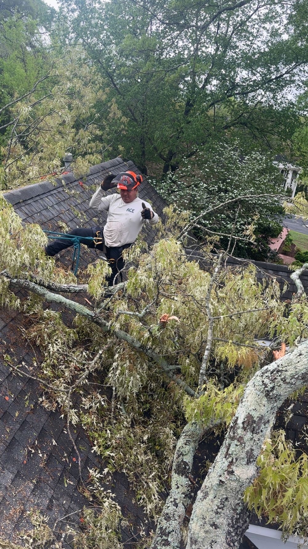 A worker in a helmet and white shirt stands on a residential roof, clearing tree branches fallen across the shingles.