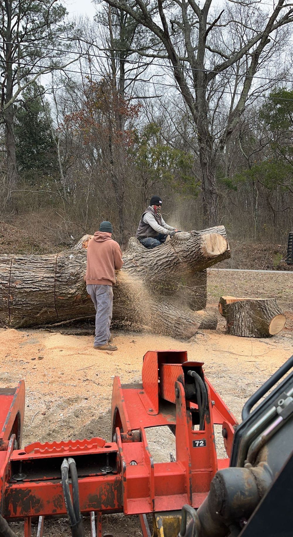 Two people use chainsaws to cut a large fallen log in a wooded, outdoor area, with a piece of heavy equipment in the front.