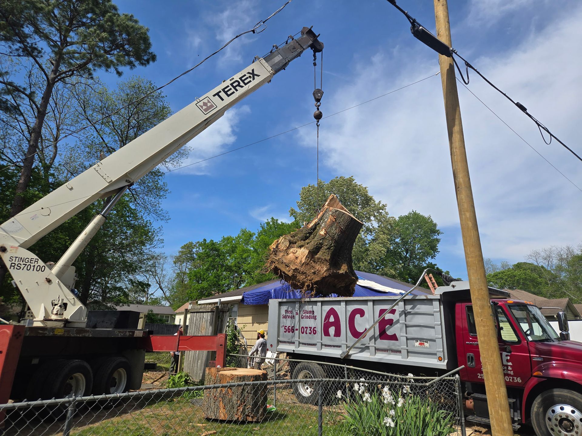 A crane lifts a large tree stump and lowers it into the back of an Ace dump truck parked in a residential yard.
