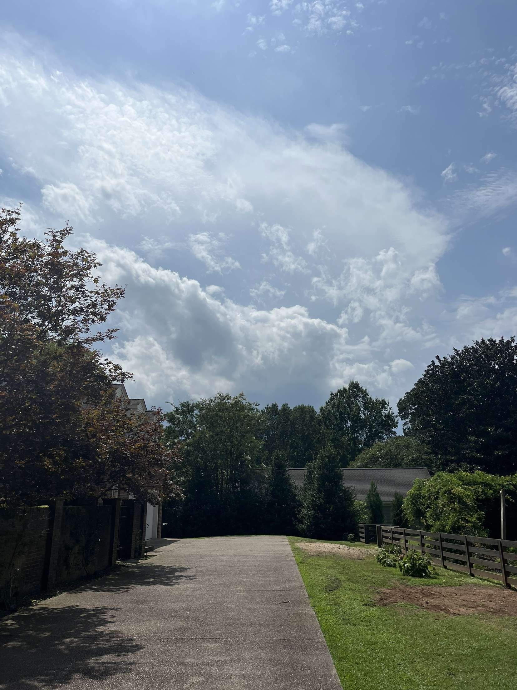 A paved driveway leads toward a cluster of trees beneath a bright blue sky filled with large, puffy white clouds.
