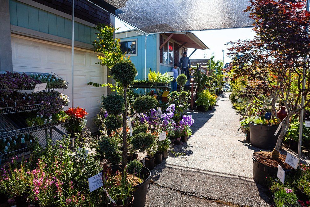 Nurseries Mount Vernon WA Salazars Nursery & Landscape Supplies