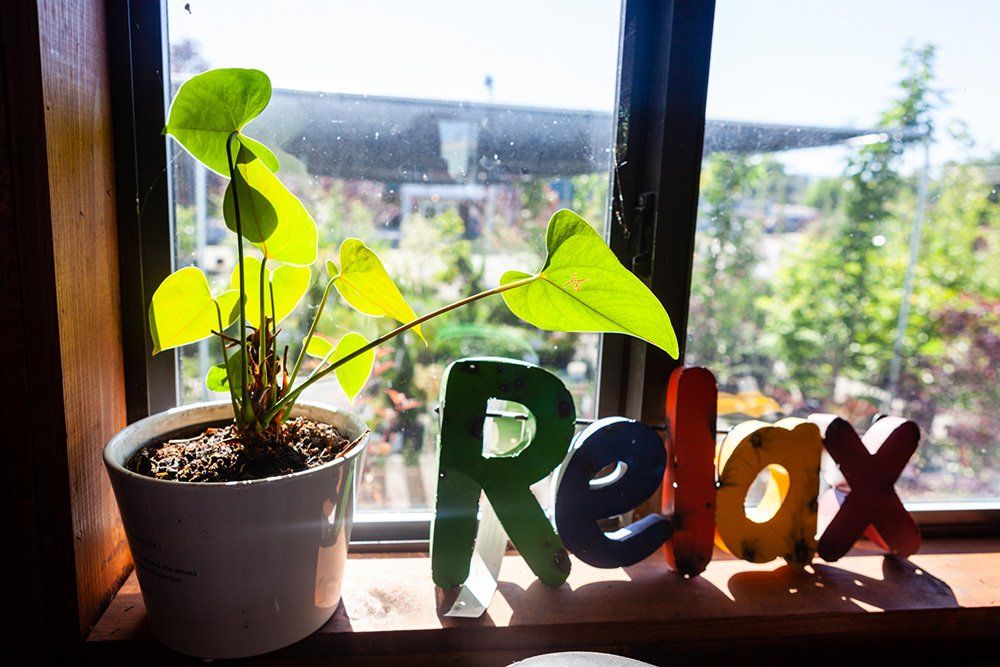 Nurseries Mount Vernon WA Salazars Nursery & Landscape Supplies