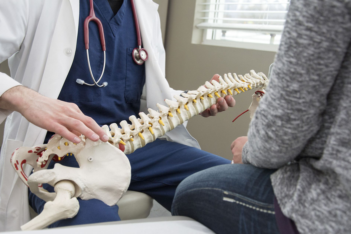 A doctor is showing a model of the spine to a patient.