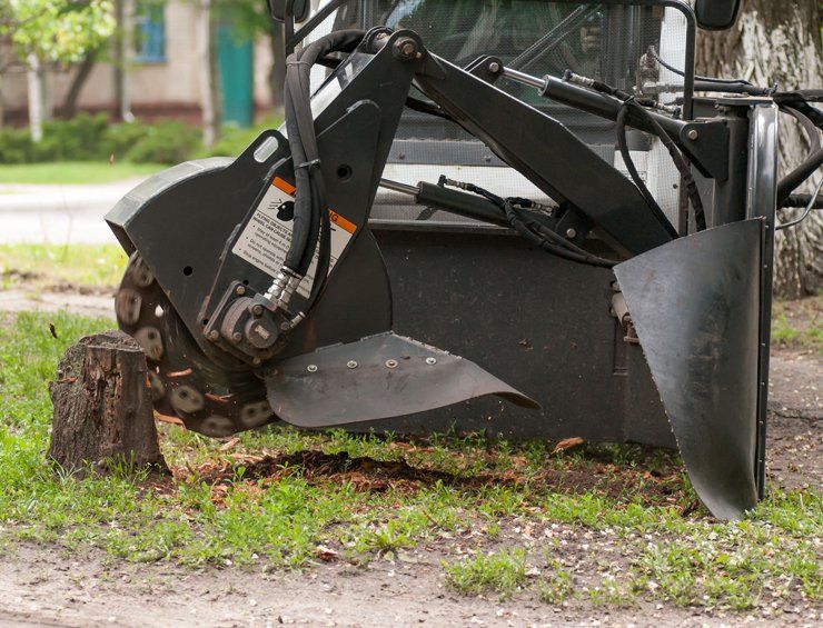 Stump grinding