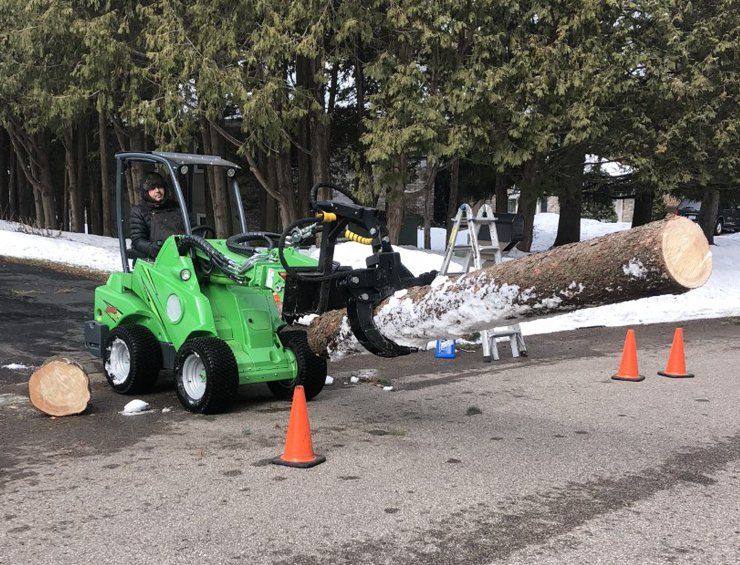 Tree removal