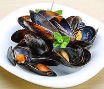 Mussels