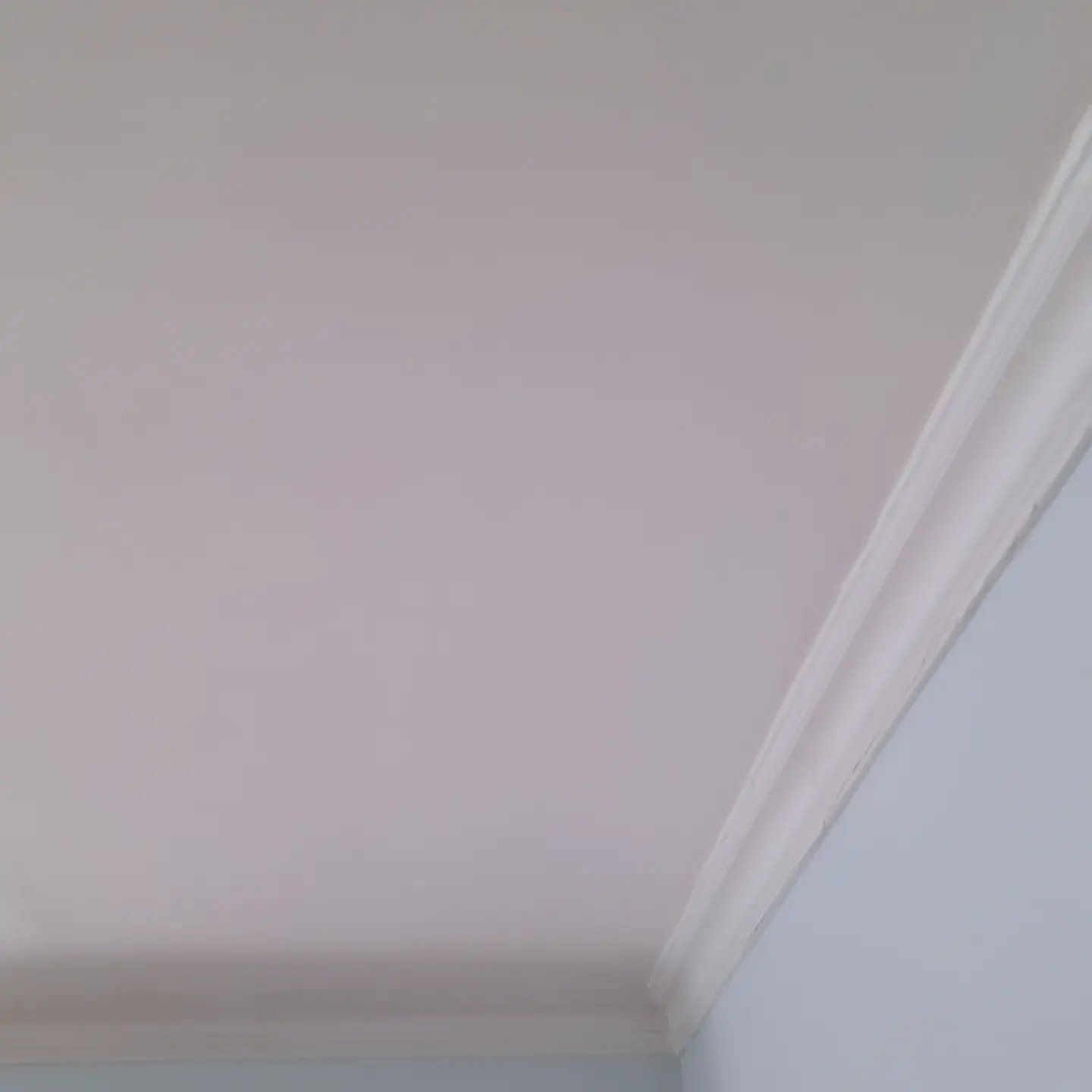 White ceiling with crown molding in the corner where it meets a light blue wall.