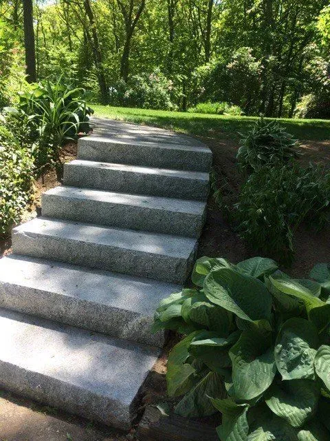 Stone steps leading up to a green, wooded area, bordered by lush plants.