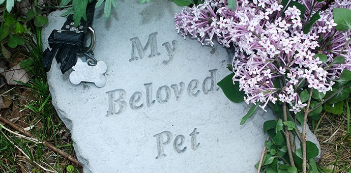 Pet memorial carving