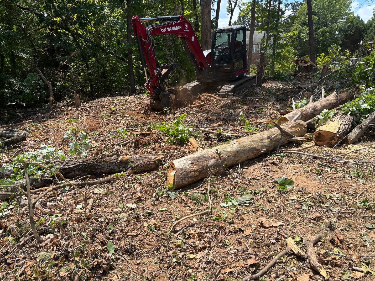 Red excavator in a wooded clearing beside cut logs and brush.