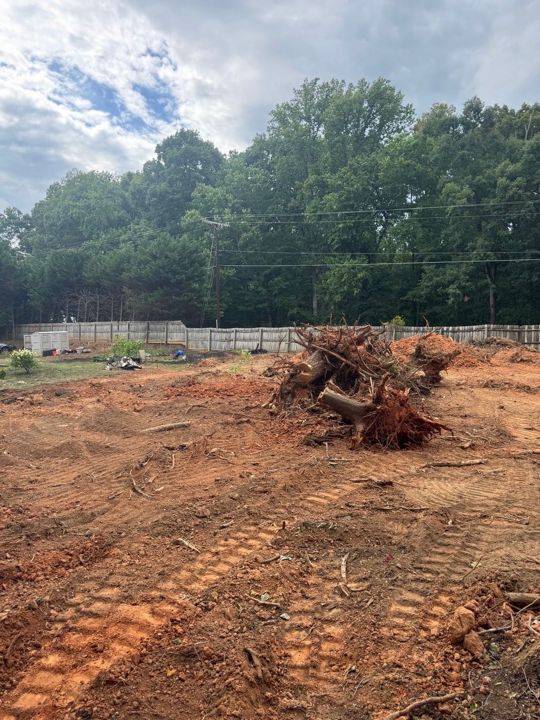 Cleared dirt lot with a pile of branches, backed by trees and a cloudy sky