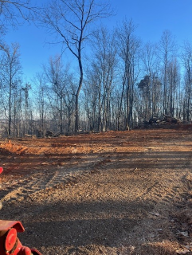 Cleared dirt lot beside leafless trees under a clear blue sky, with an orange object at bottom left.