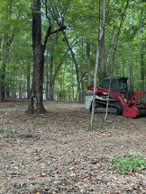 Red tractor and loader parked in a wooded area with tall trees and leaf-covered ground