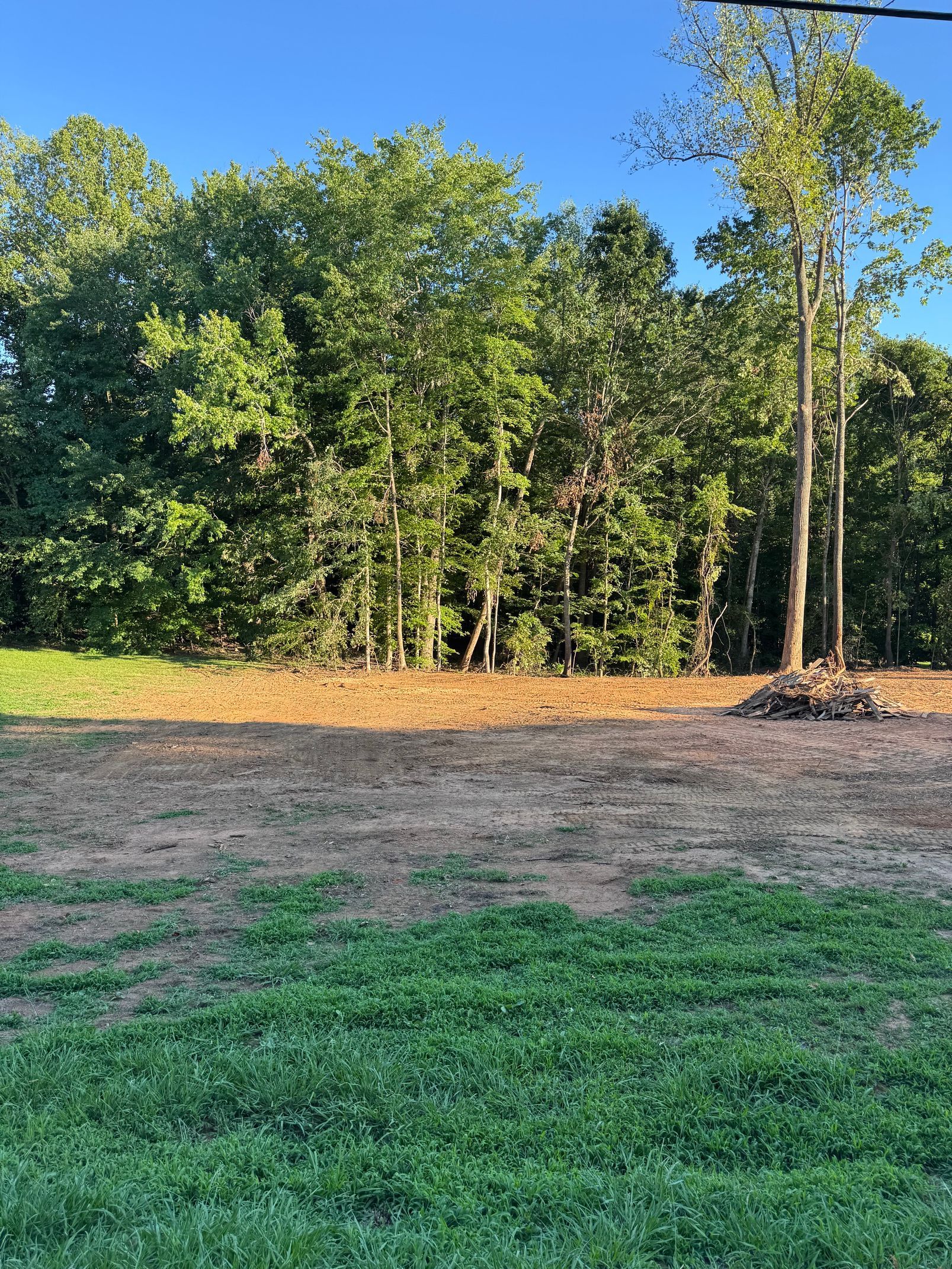 Cleared dirt lot bordered by dense green trees under warm sunlight