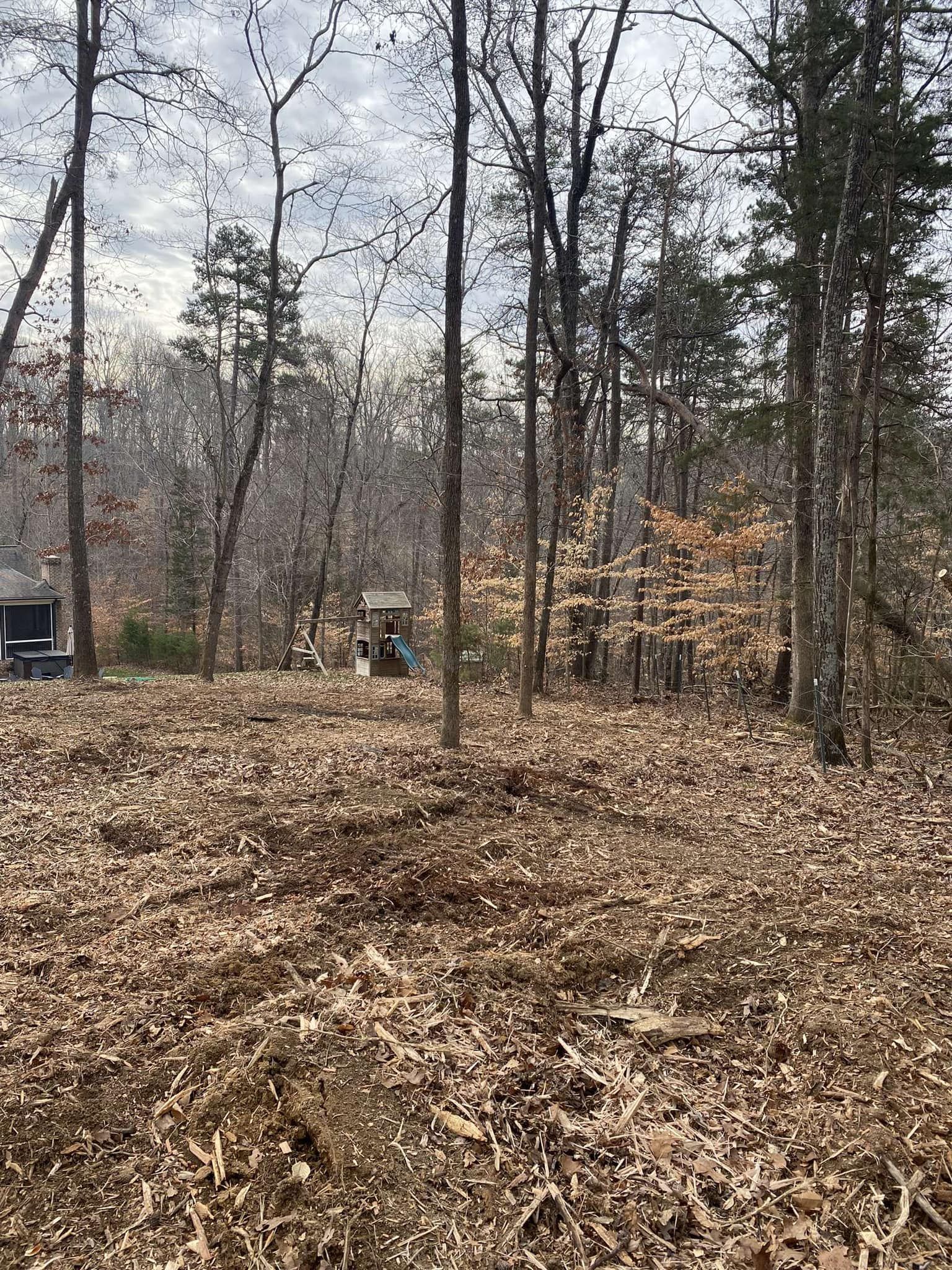 A wooded area with bare trees and fallen leaves. A small structure is visible in the distance.