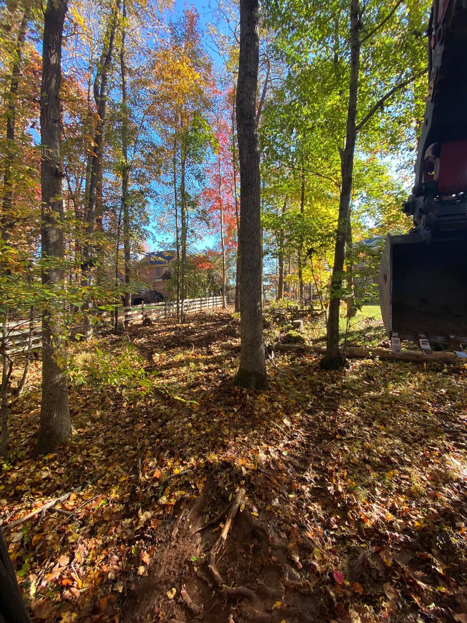 Forest clearing with fall foliage, dirt, and an excavator's bucket.