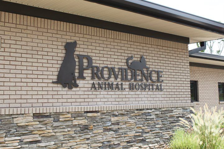 A brick building with a sign that says providence animal hospital