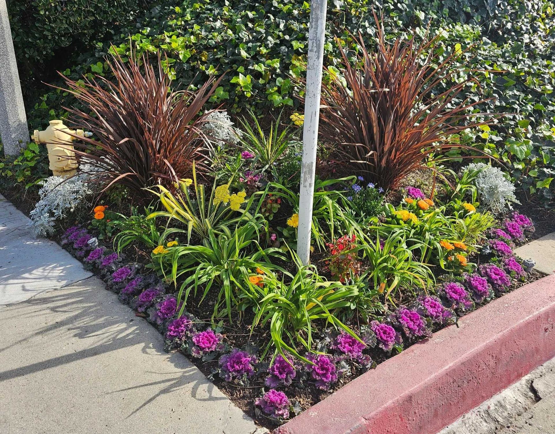 A colorful flower bed borders a sidewalk with purple and yellow blooms, framed by lush greenery.