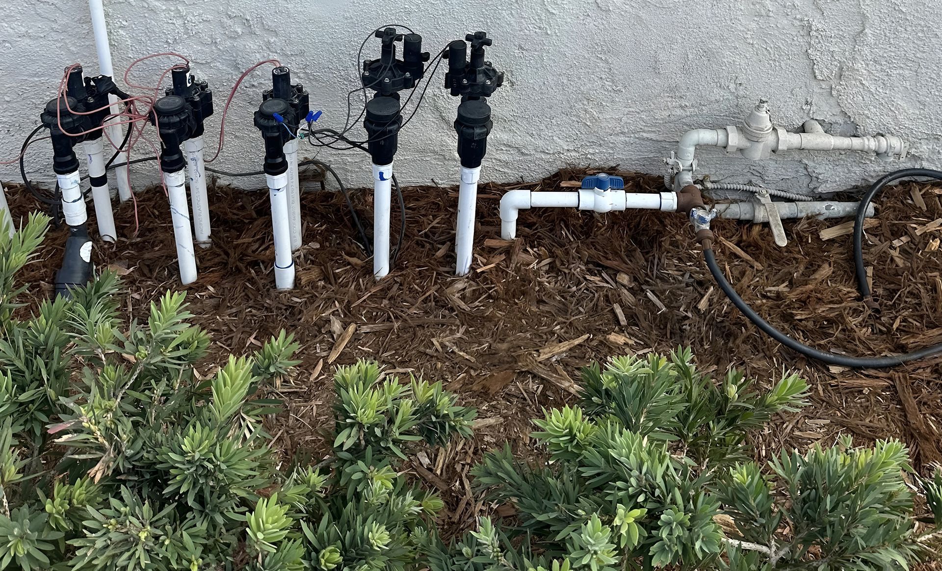 Sprinkler system components installed near a wall and landscaping. Includes valves, pipes, and wiring.