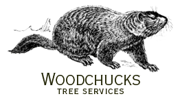 Wood Chucks Tree Service Logo