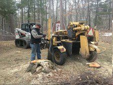 stump removal and grinding