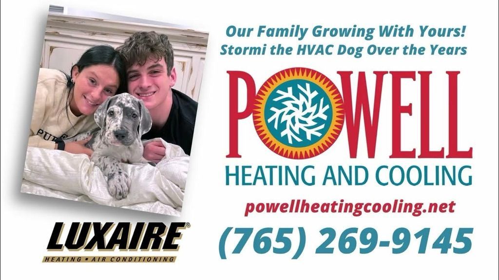 Boy, girl, and a dog. 