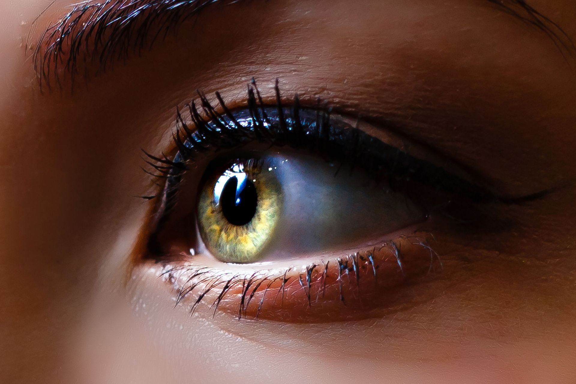 eyelid lifts