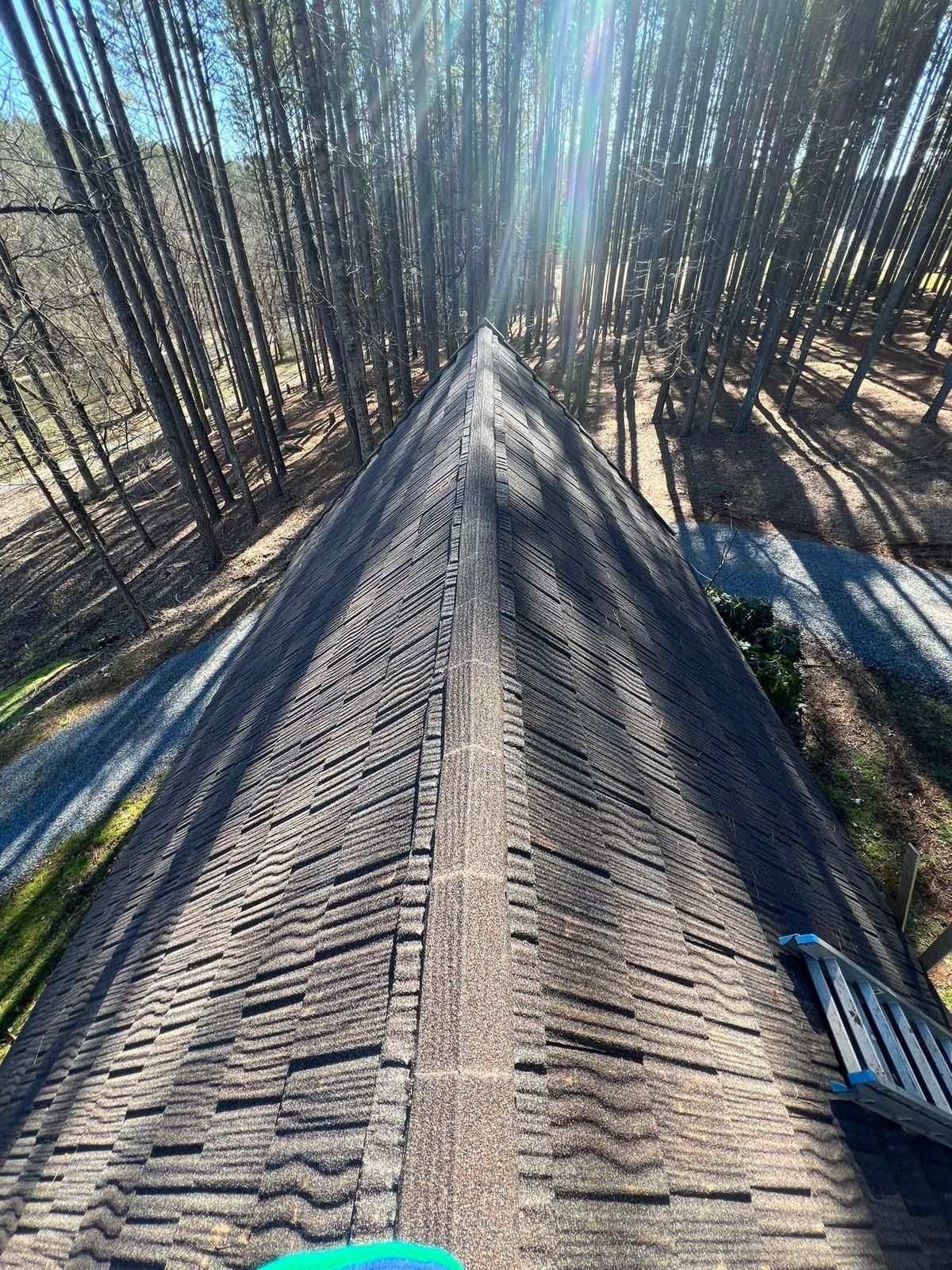 A person is standing on the roof of a house in the woods.