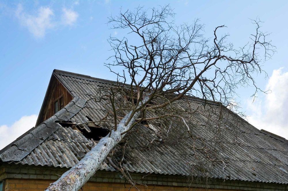 Dead tree fallen onto a house roof, causing damage.
