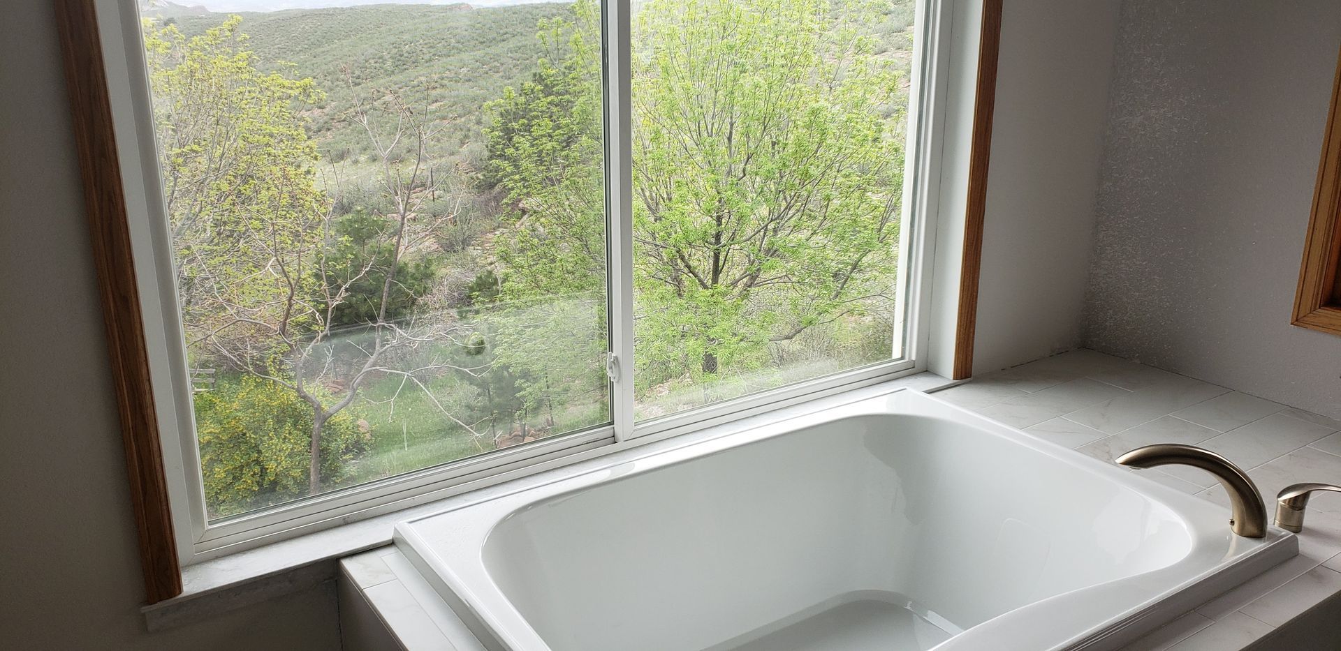 White bathtub beside a large window with a view of green trees and hills.
