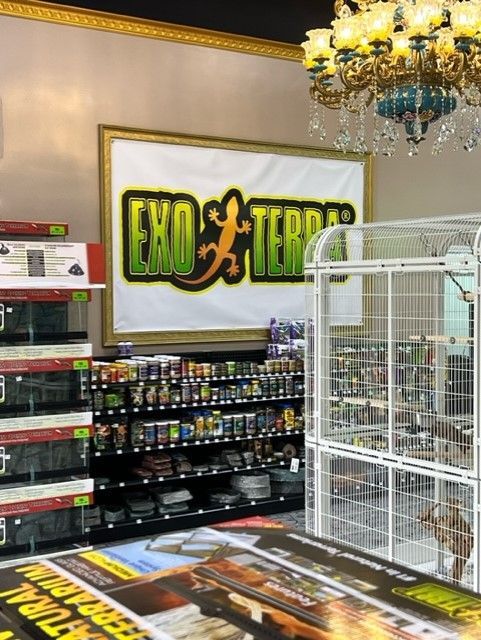 Exotic pet supplies