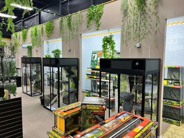Reptile store