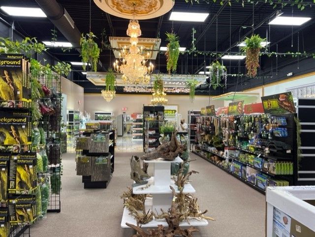 Reptile Merchandise | Virginia Beach, VA
