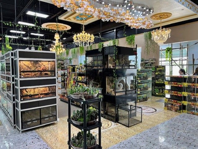 Reptile Merchandise | Virginia Beach, VA