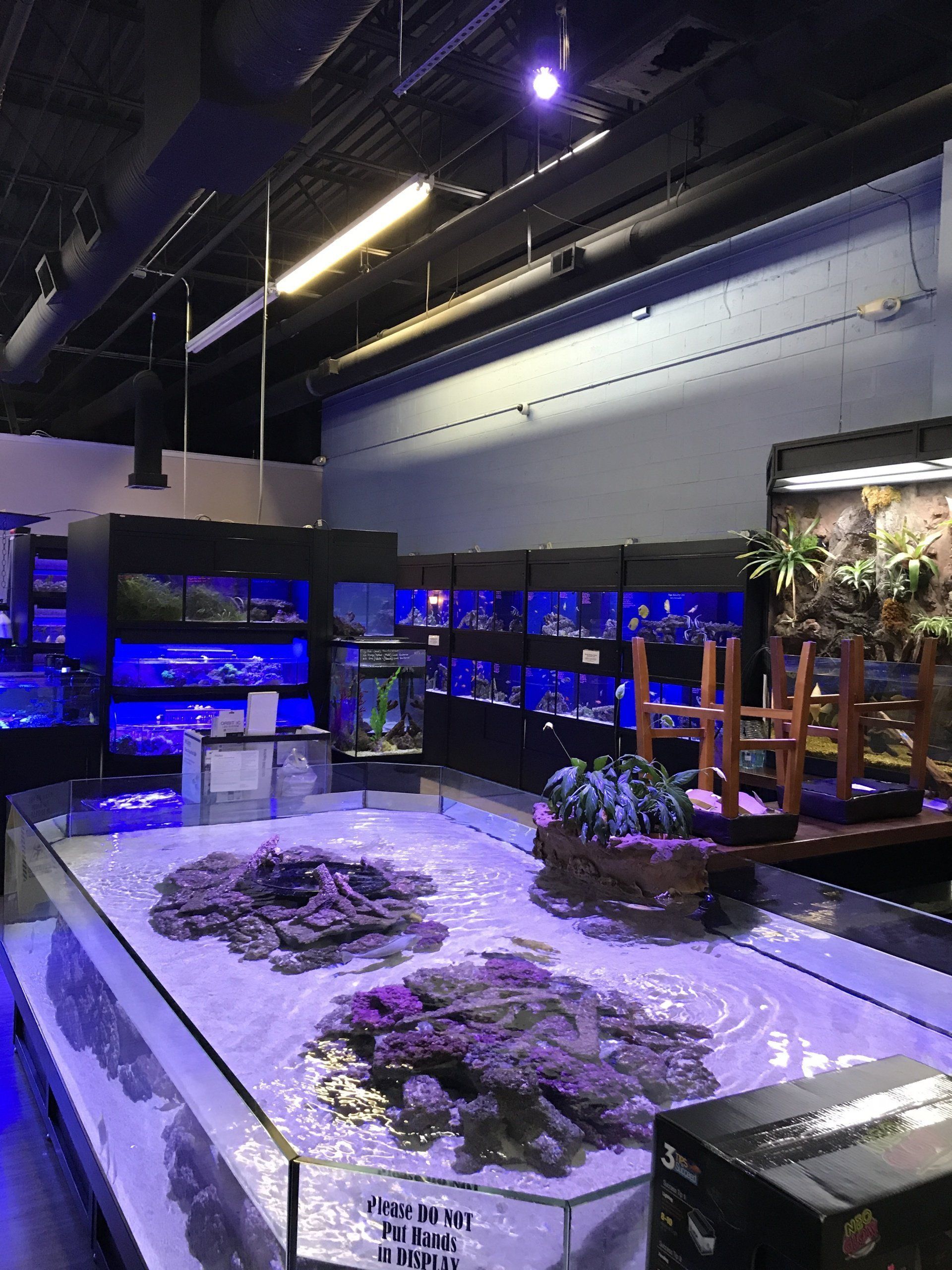 Aquariums in Shop