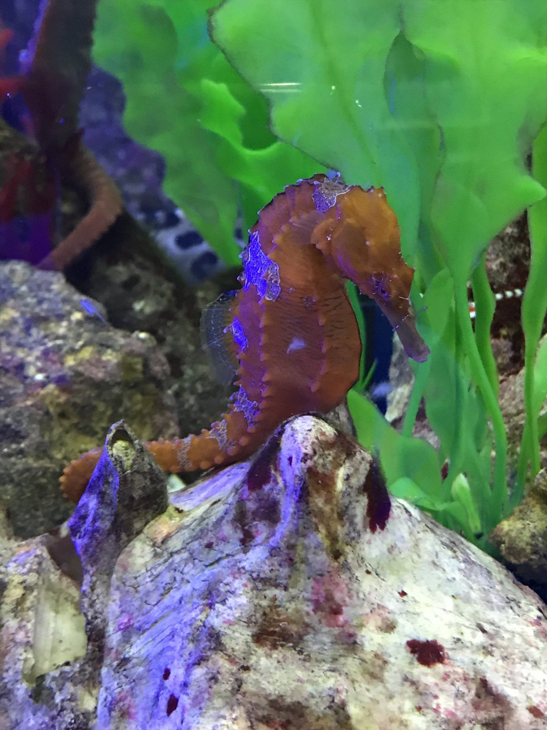 Gallery Aquariums Unlimited LLC