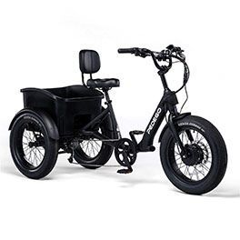 Fat Tire Trike