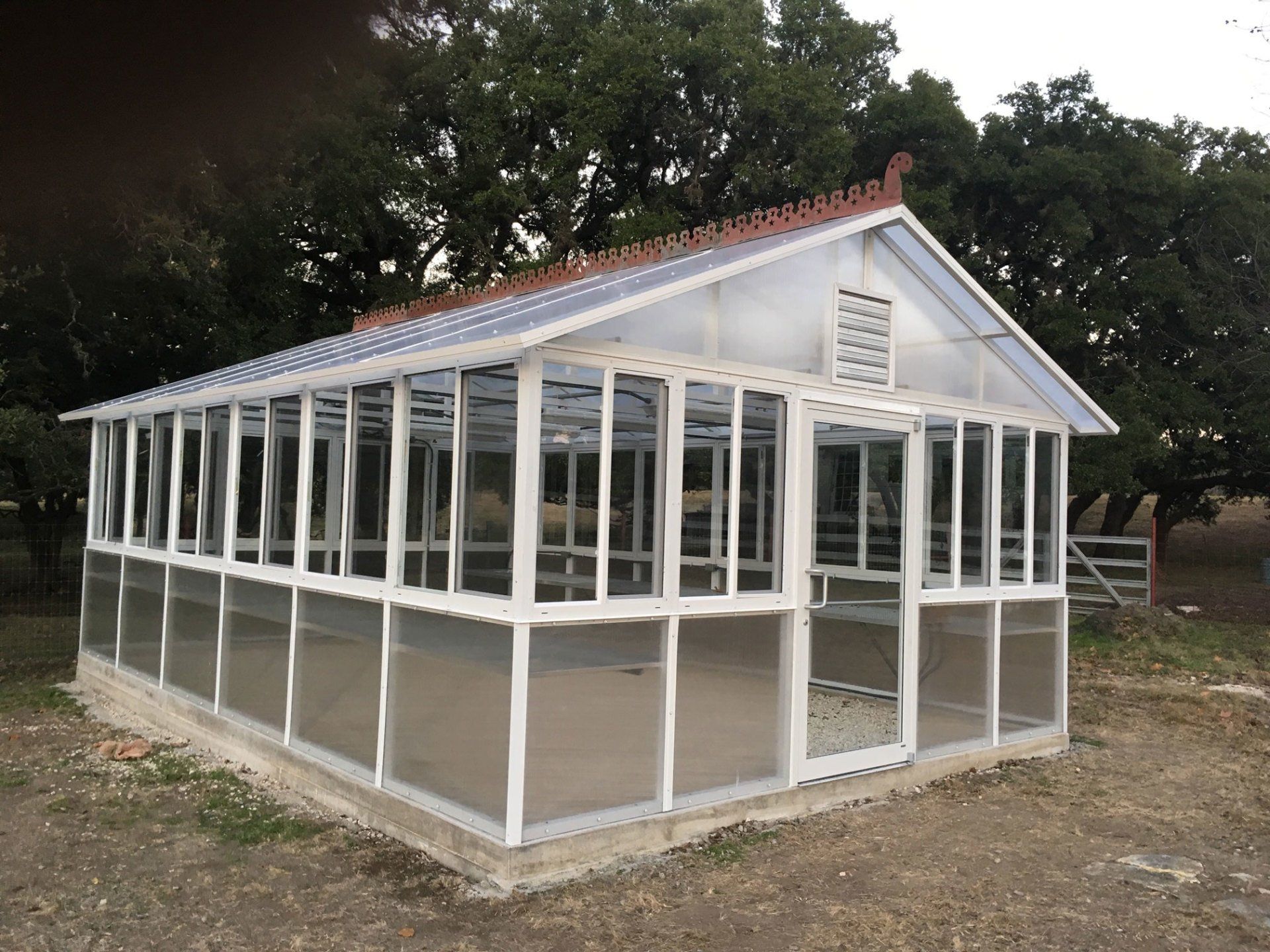 2-Inch Greenhouse Photo Gallery | San Antonio, TX