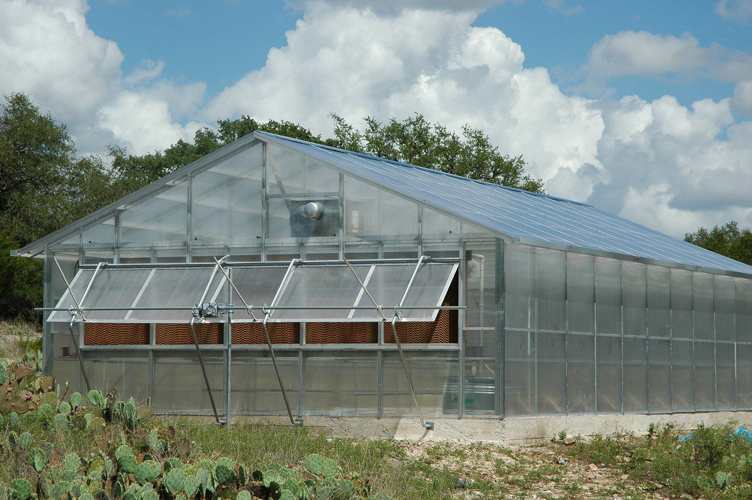 IBeam Greenhouse Photo Gallery San Antonio, TX